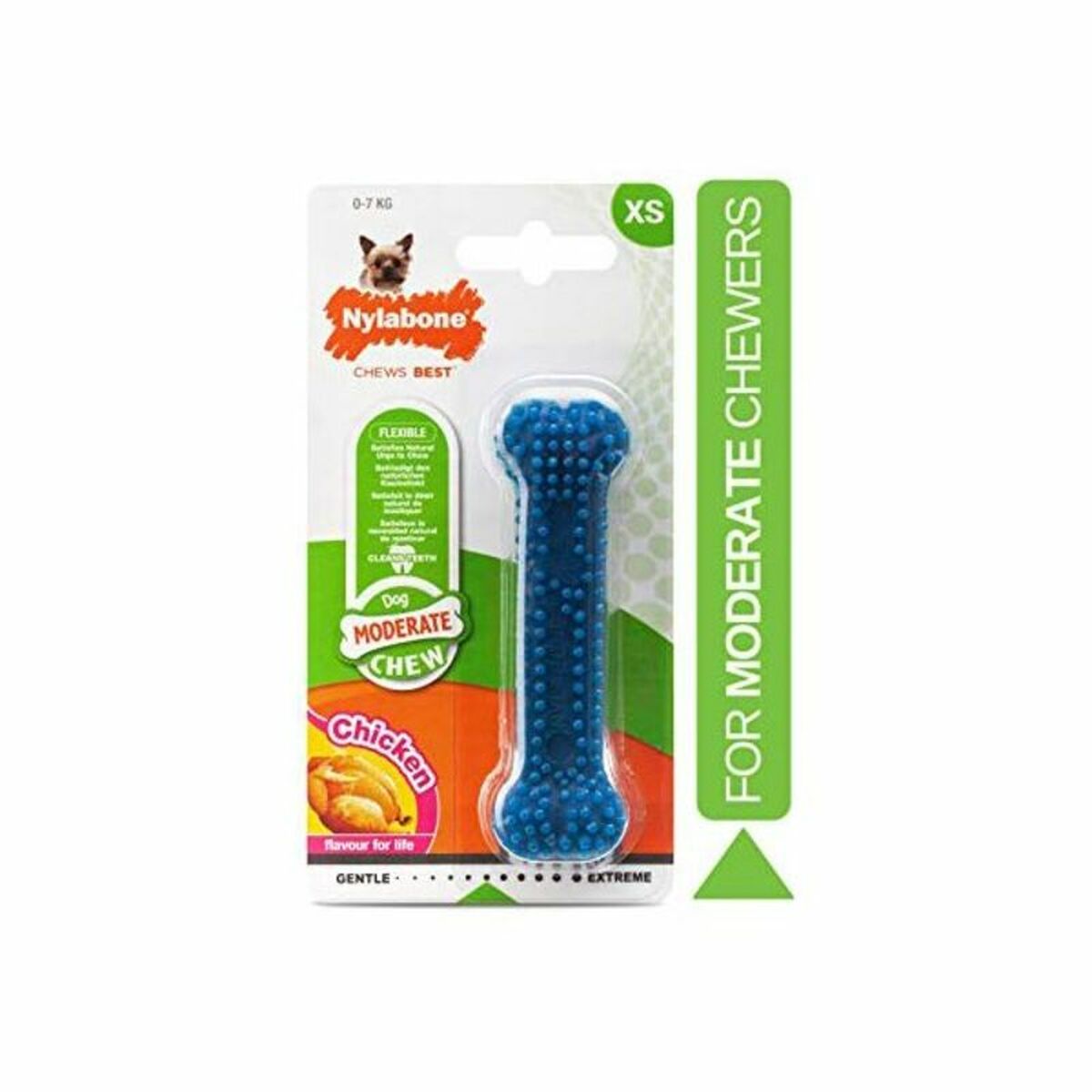 Giocattoli per cani Nylabone Piccolo Azzurro Naturale Pollo Termoplastico Taglia XS