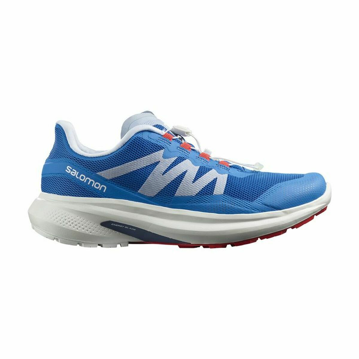 Scarpe da Running per Adulti Salomon Hypulse Azzurro Uomo