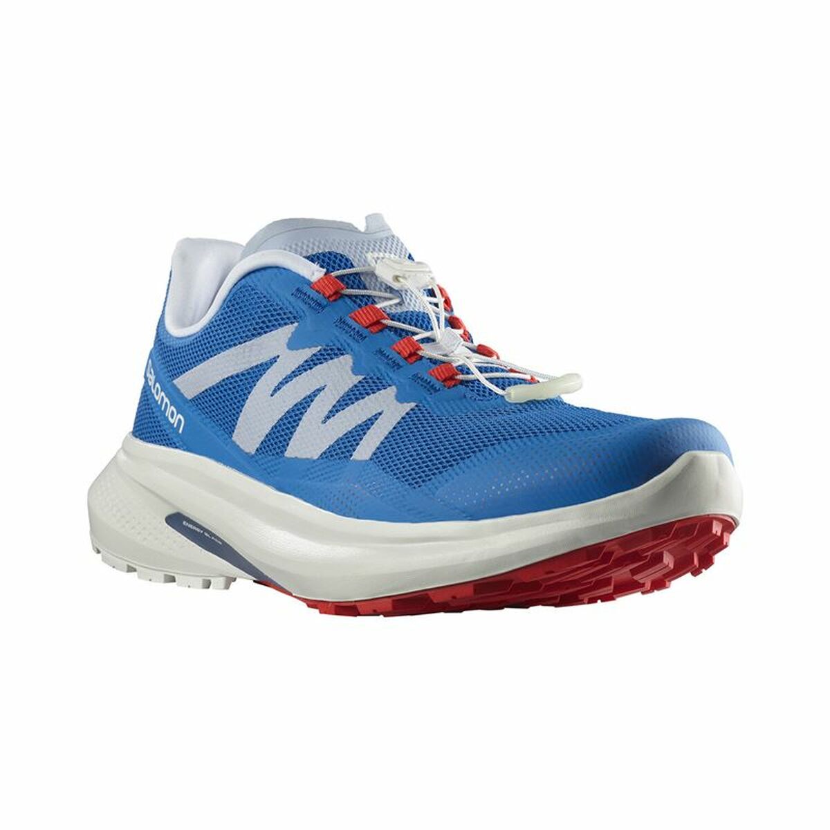 Scarpe da Running per Adulti Salomon Hypulse Azzurro Uomo