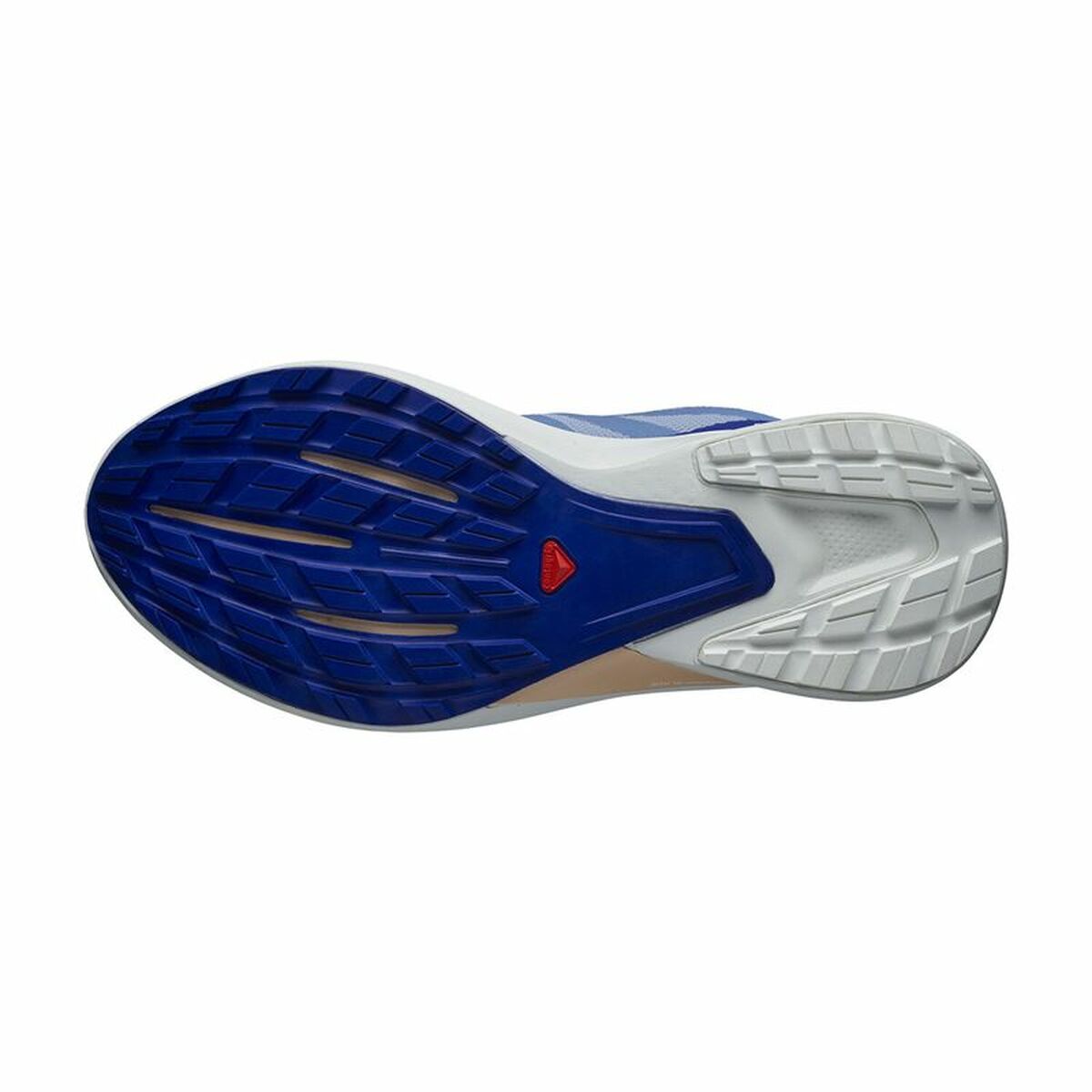 Scarpe da Running per Adulti Salomon Hypulse Gore-Tex Azzurro Chiaro Donna