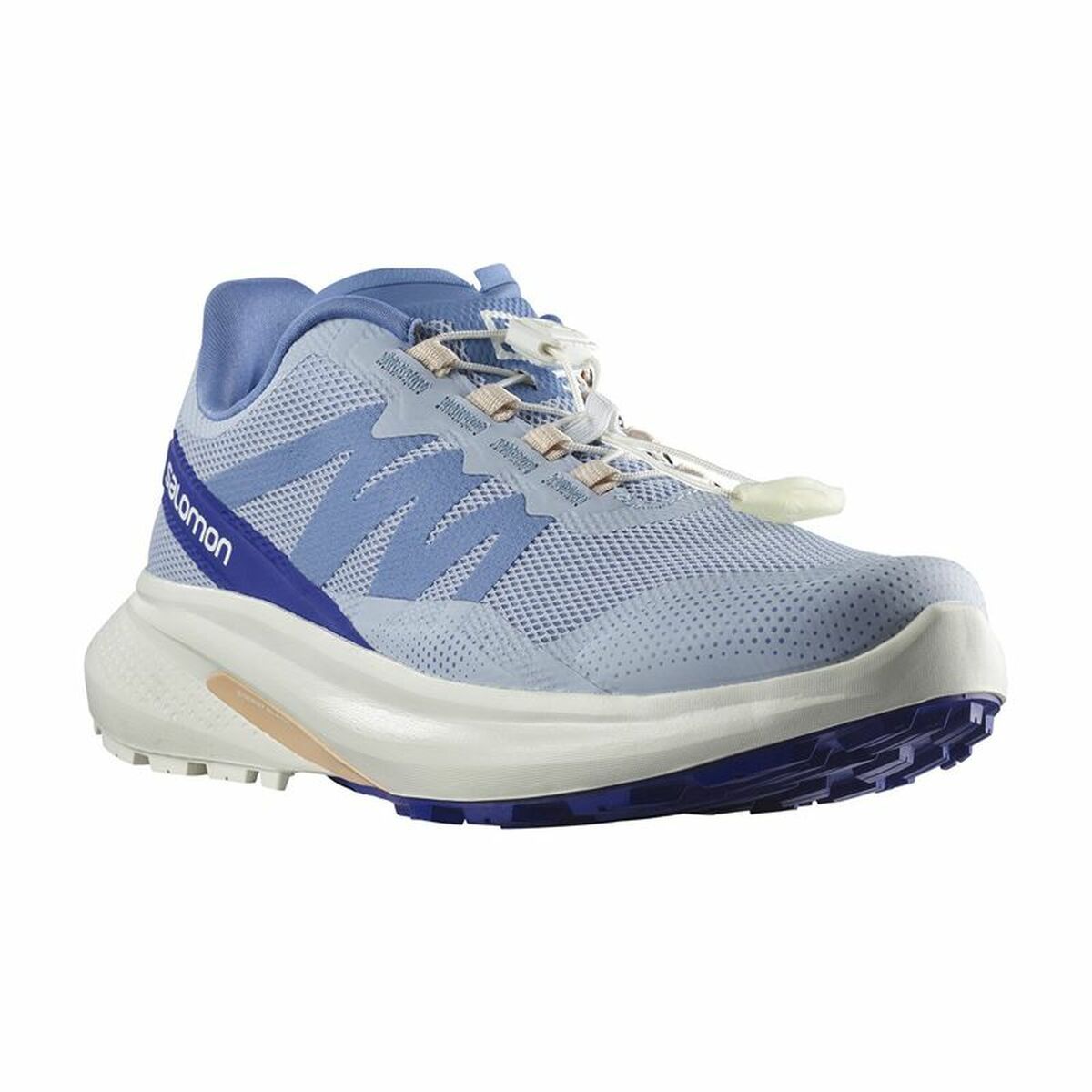 Scarpe da Running per Adulti Salomon Hypulse Gore-Tex Azzurro Chiaro Donna