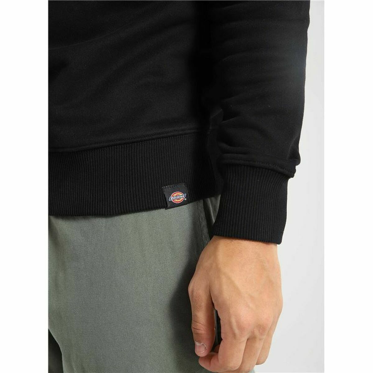 Felpa con Cappuccio Dickies Aitkin Nero