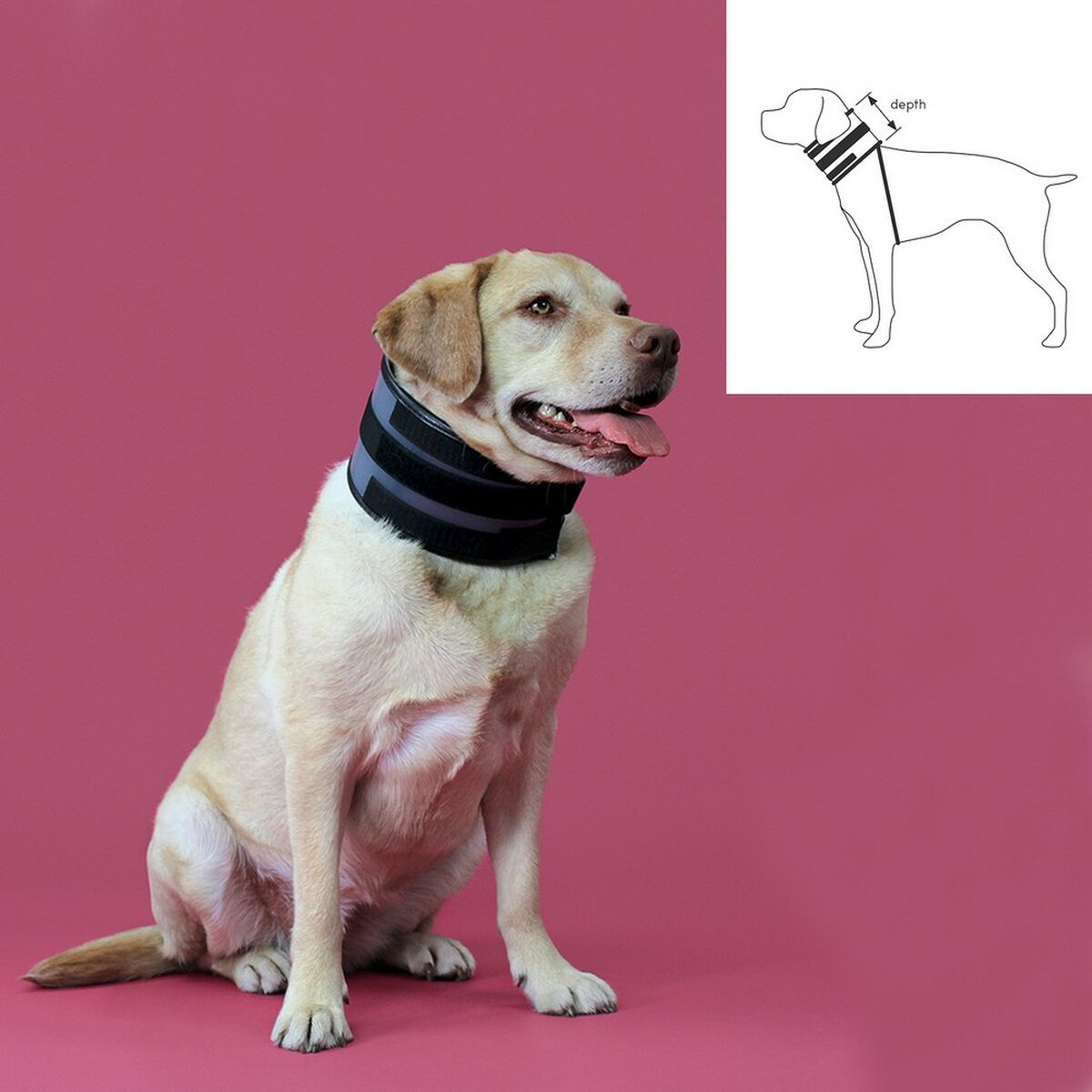 Collare Cervicale per Cani KVP Nero (6-28 cm)