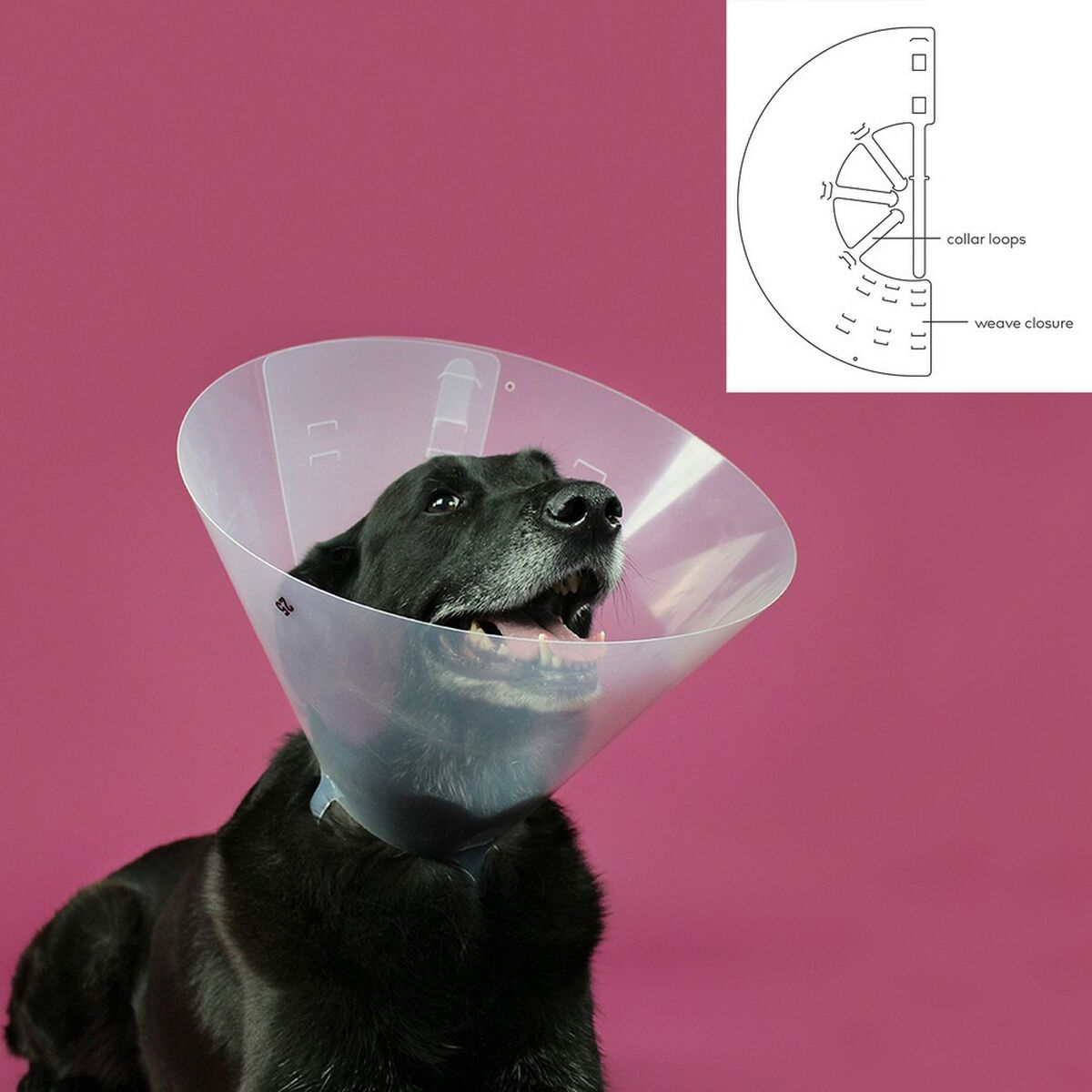 Collare elisabettiano per cani KVP Betsy Trasparente (33-41 cm)
