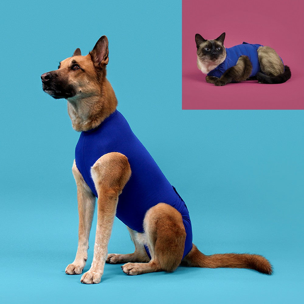 Maglia di Recupero per Animali KVP Azzurro 25-33 cm