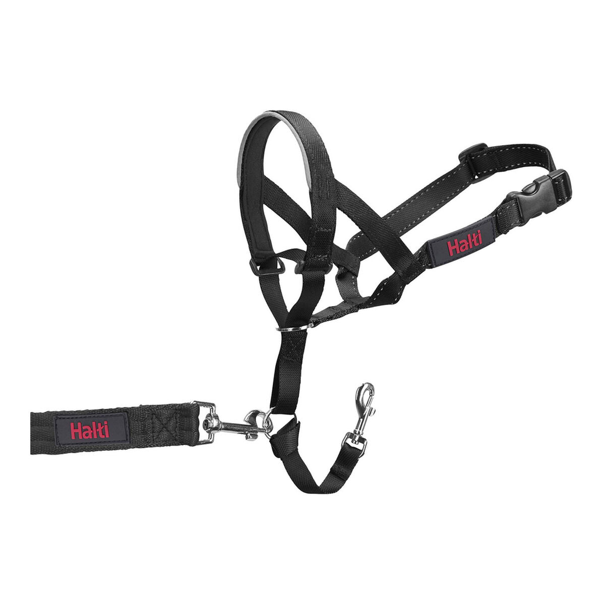 Collari da addestramento per cani Company of Animals Halti Nero Museruola (29-36 cm)