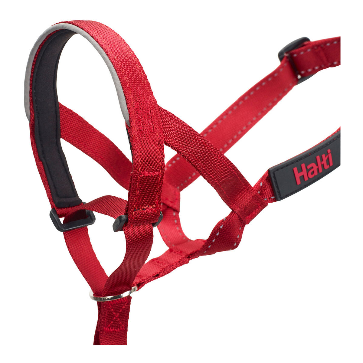 Collari da addestramento per cani Company of Animals Halti Museruola (35-48 cm)