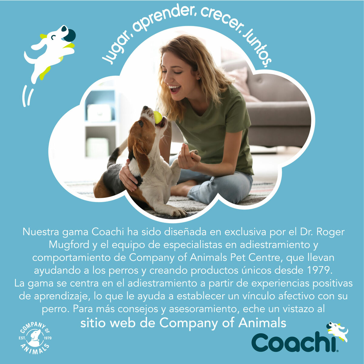 Guinzaglio per Cani Coachi Allenamento Azzurro 2,5 m