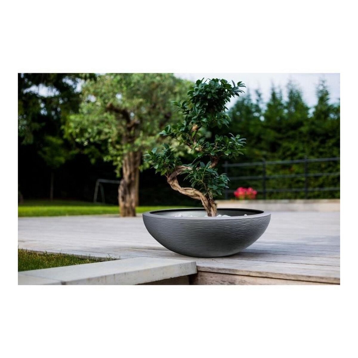 Vaso EDA Graphit Washbasin Grigio Grigio scuro (Ø 59 x 21 cm)