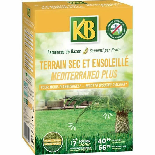 Semi KB Prato Mediterraneo 1 kg 40 m²