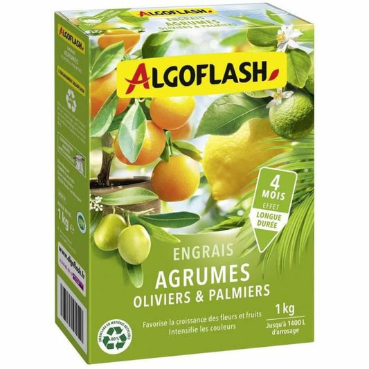 Fertilizzante per piante Algoflash Naturasol Ulivo Palma Agrumi 1 kg