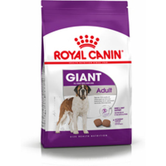 Io penso Royal Canin Giant Adult 15 kg Adulto