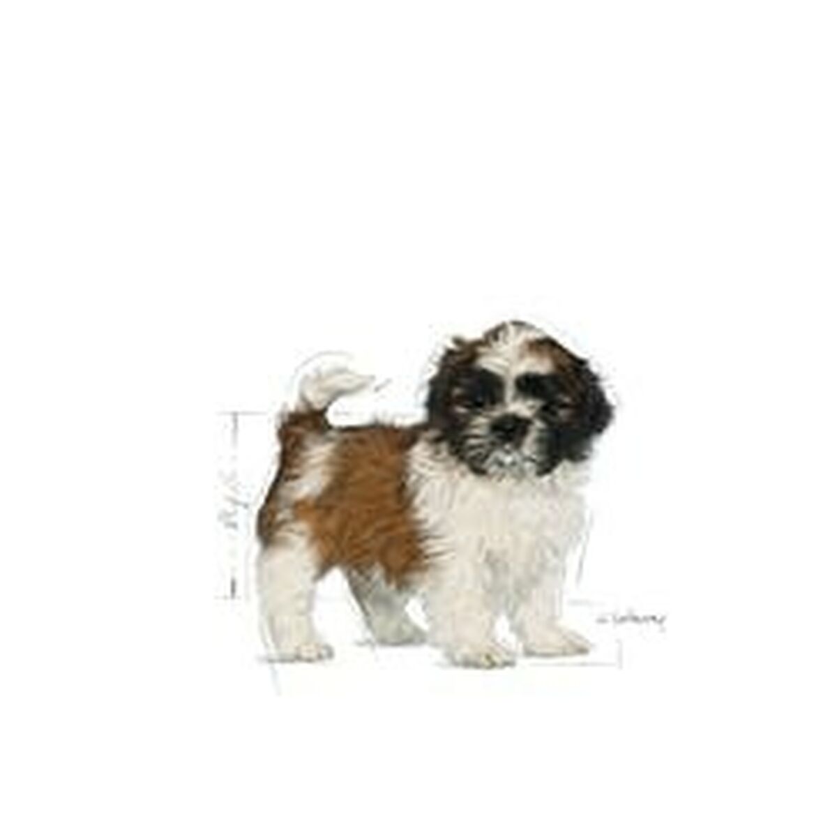 Io penso Royal Canin Shih Tzu Puppy Cucciolo/Junior Vegetale 500 g