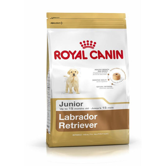 Io penso Royal Canin Labrador Retriever Junior 12 kg Cucciolo/Junior Riso Mais Uccelli