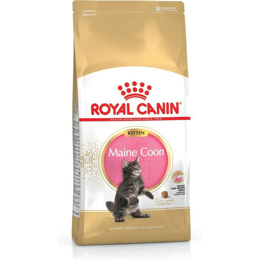 Cibo per gatti Royal Canin Maine Coon Kitten Pollo Riso Uccelli 4 Kg