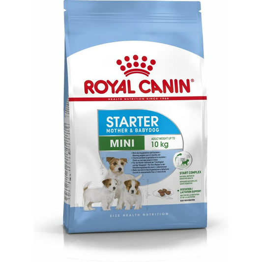 Io penso Royal Canin Starter Mother And Babydog Adulto Uccelli 1 kg