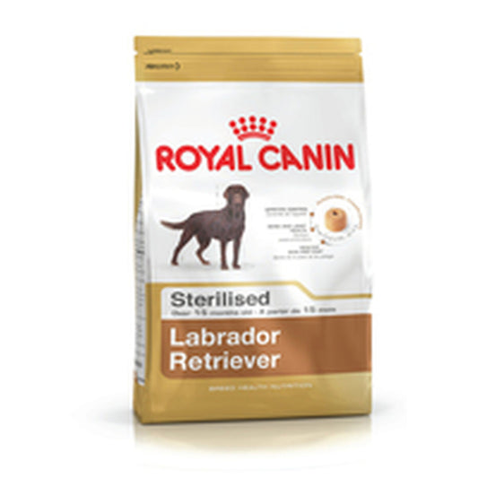 Io penso Royal Canin Labrador Retriever Sterilised 12 kg Adulto Riso Mais Uccelli 20-40 Kg