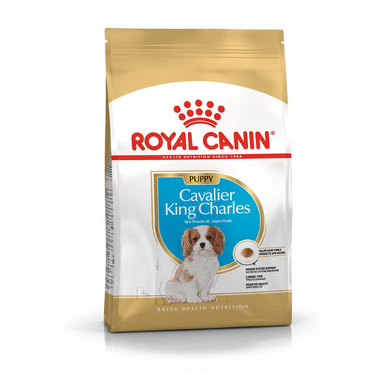 Io penso Royal Canin Cavalier King Charles Spaniel Puppy 1,5 Kg