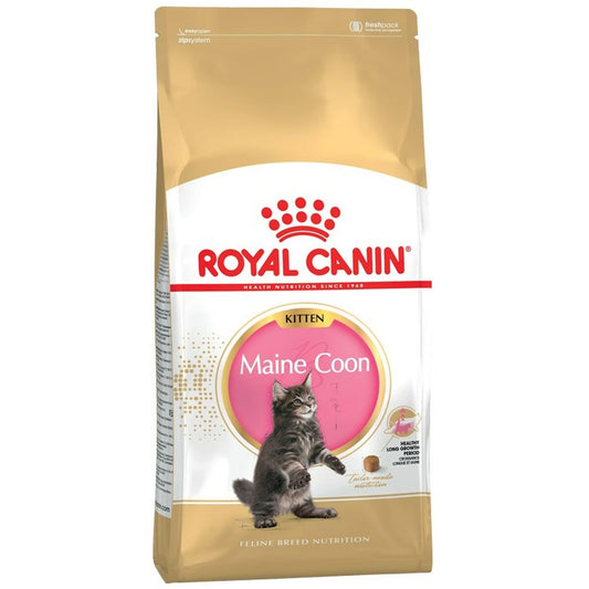 Cibo per gatti Royal Canin Maine Coon Kitten Riso Uccelli 2 Kg