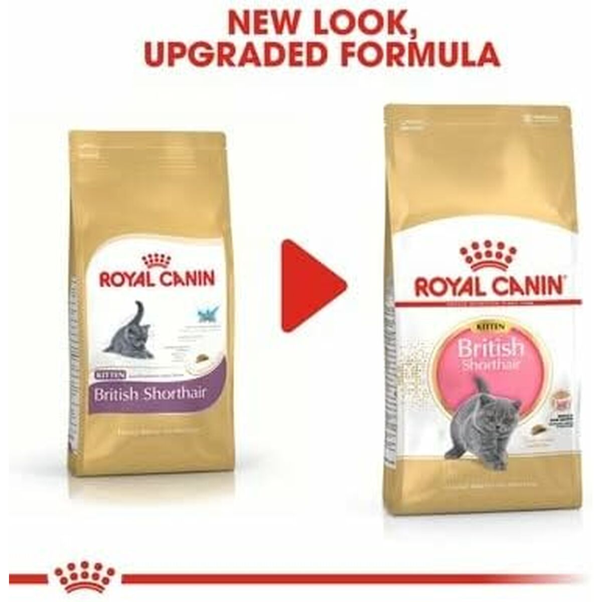 Cibo per gatti Royal Canin Riso Vegetale Uccelli 10 kg