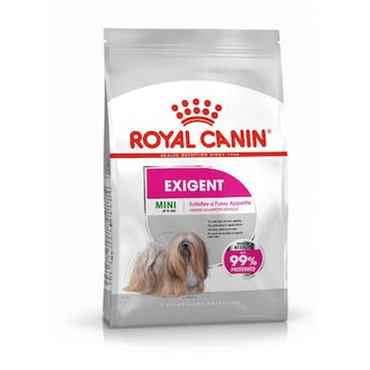 Io penso Royal Canin Mini Exigent Adulto Uccelli 3 Kg