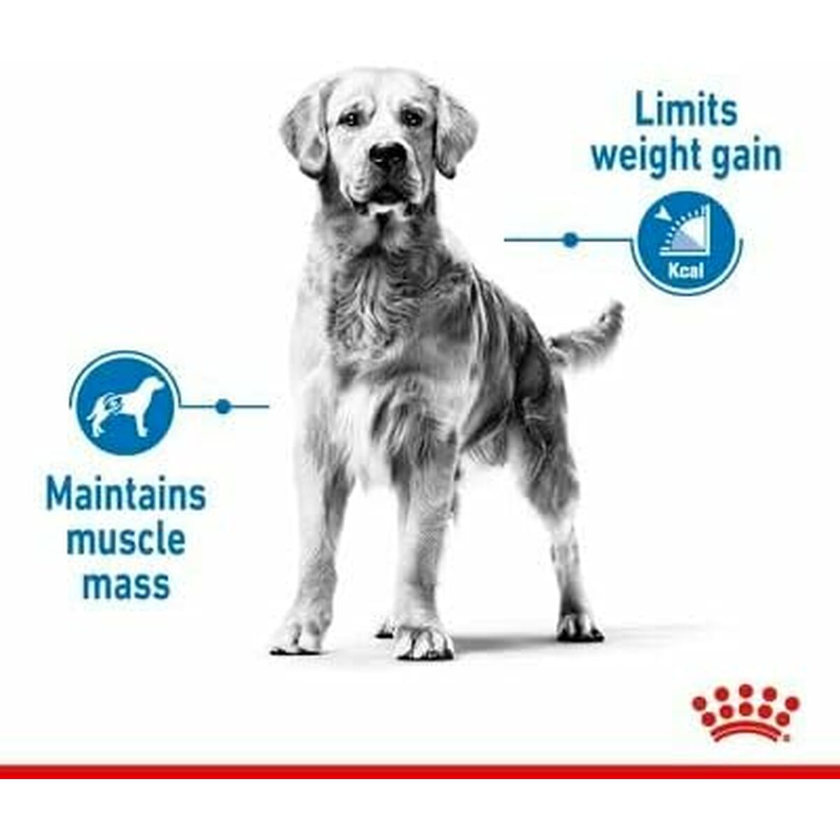 Io penso Royal Canin 12 kg