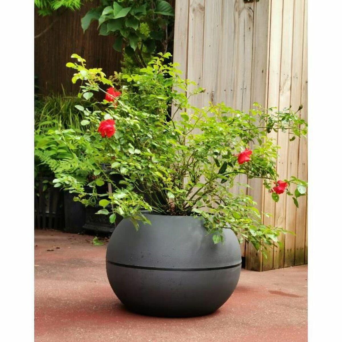 Vaso Riviera 814276 Grigio Rotondo Sfera Ø 40 cm