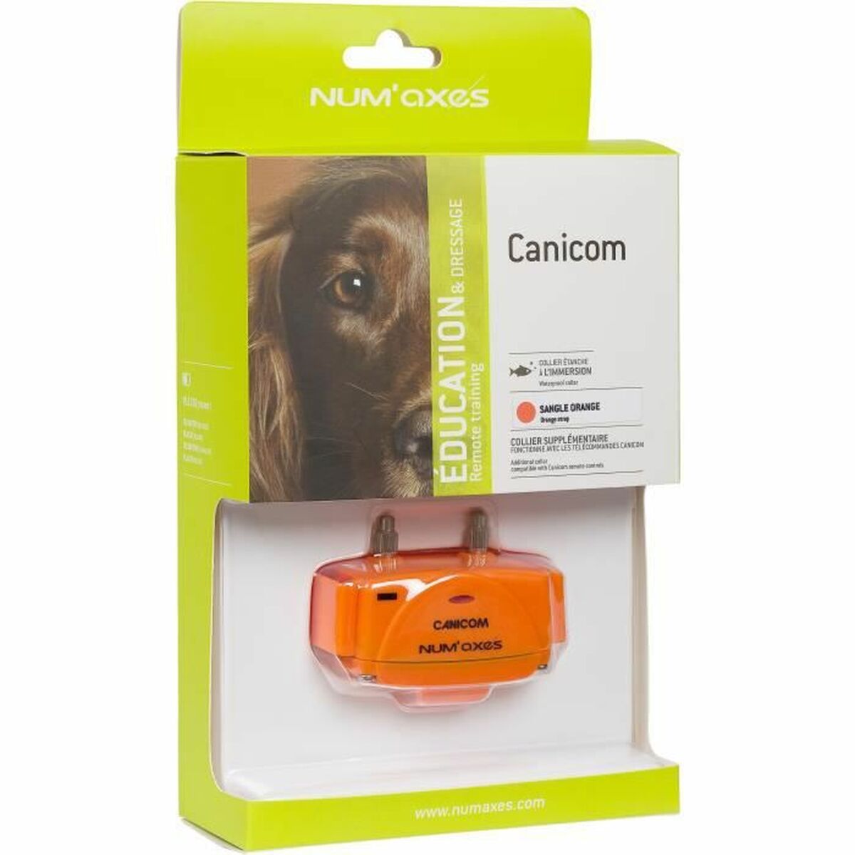 Collari da addestramento per cani Num'Axes Arancio