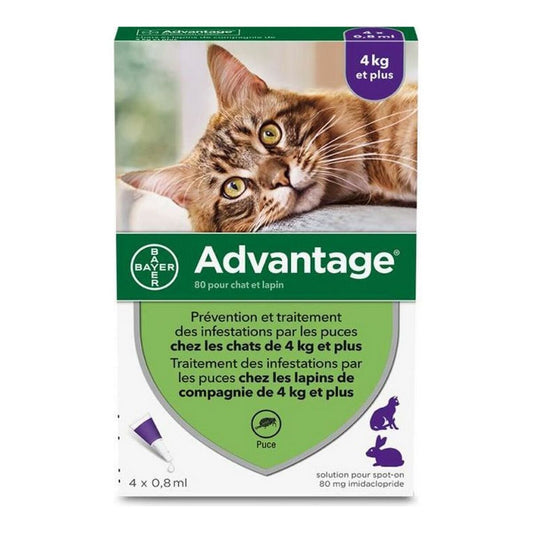 Anti-parassiti Advantage Gatto Coniglio +4 Kg 4 Unità 0,8 ml