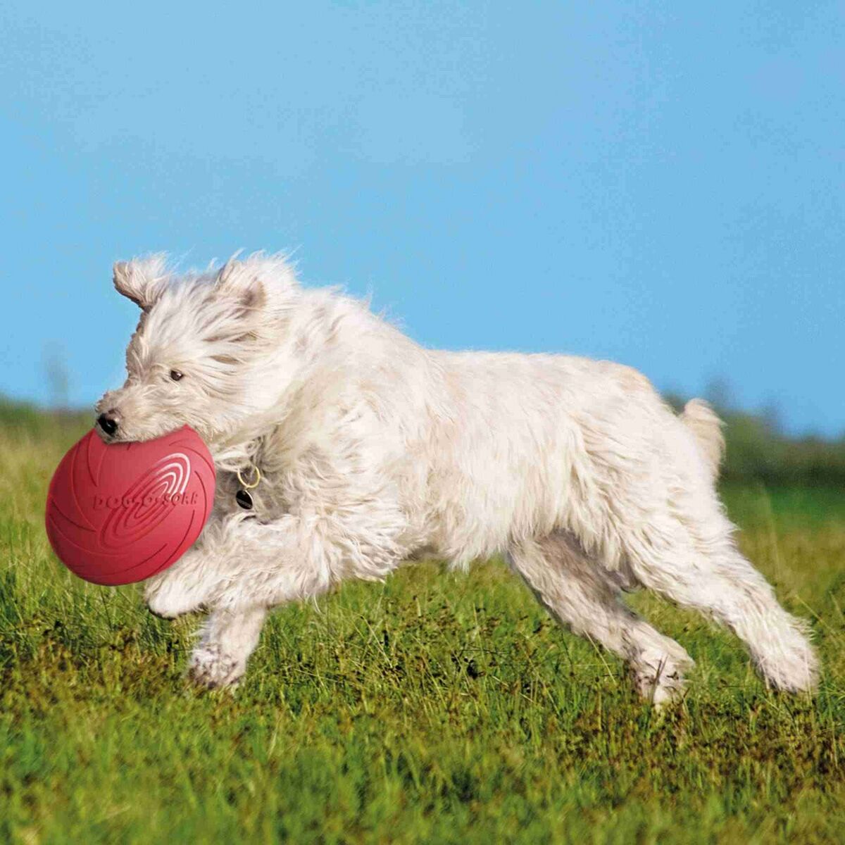 Frisbee Trixie   Azzurro Arancio Gomma Caucciù