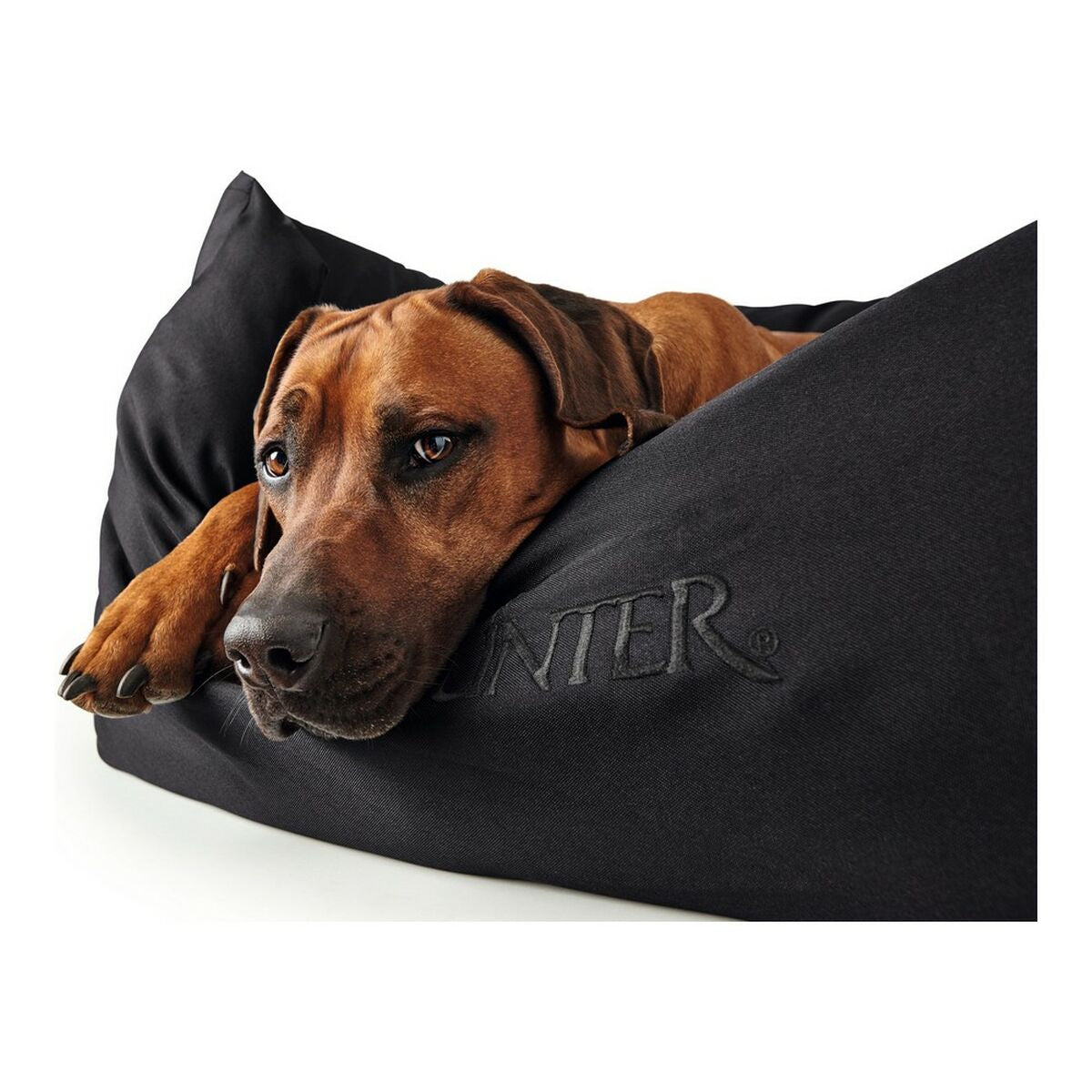 Divano per cani Hunter Gent Nero Poliestere black (60 x 45 cm)