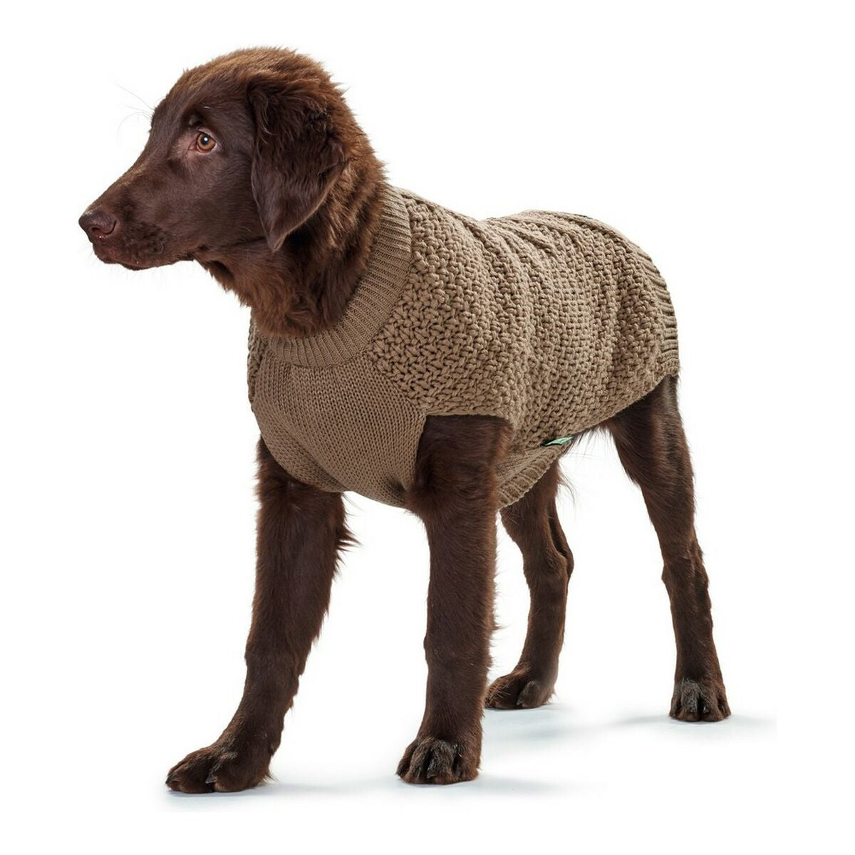 Maglione per Cani Hunter Malmö