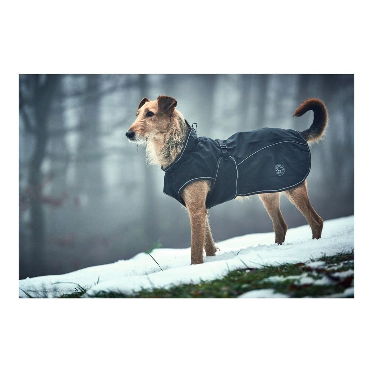 Cappotto per Cani Norton 360 Uppsala Nero 60 cm