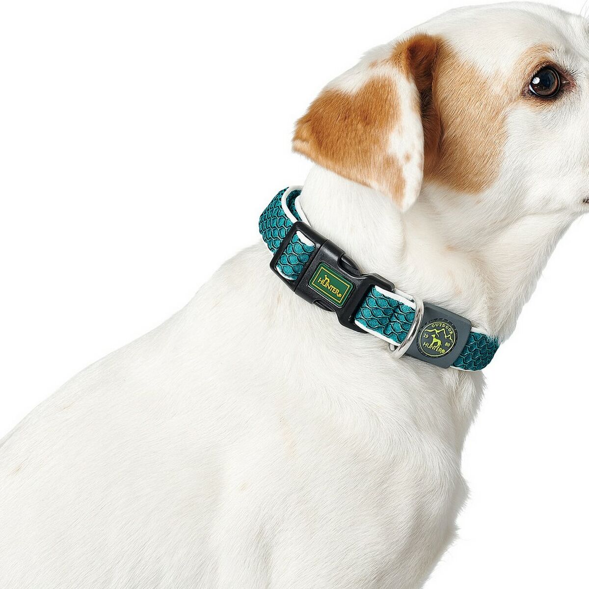 Collare per Cani Hunter Basic Filo Lime 20