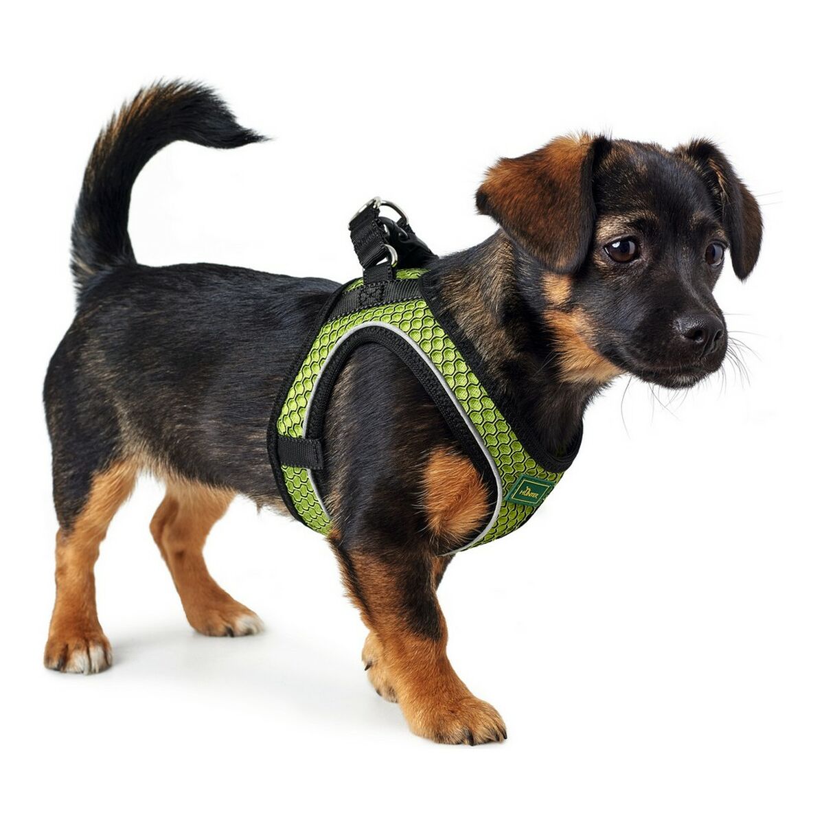 Imbracatura per Cani Hunter Hilo-Comfort Lime S/M (48-55 cm)