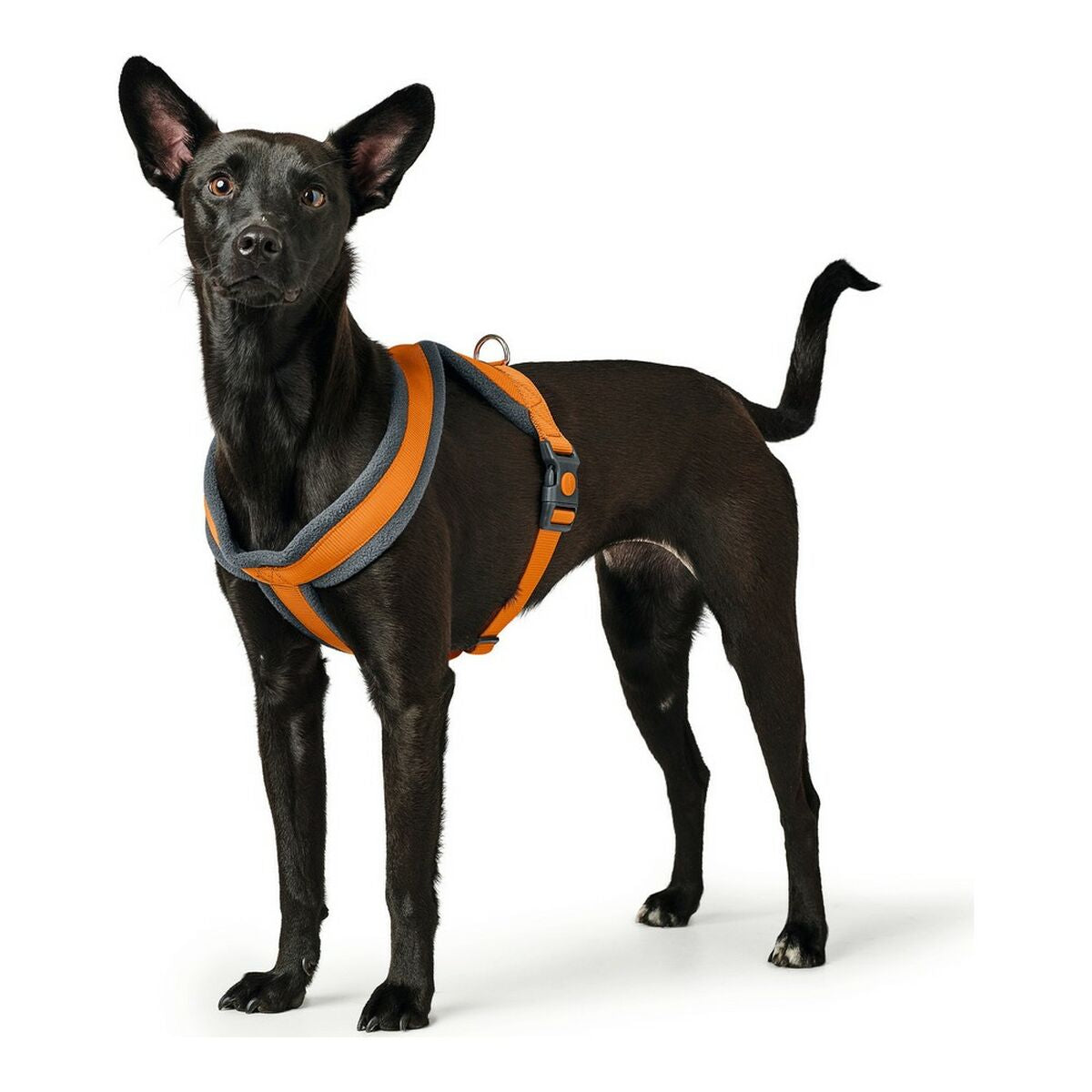 Imbracatura per Cani Hunter London Comfort 39-47 cm Arancio XS/S