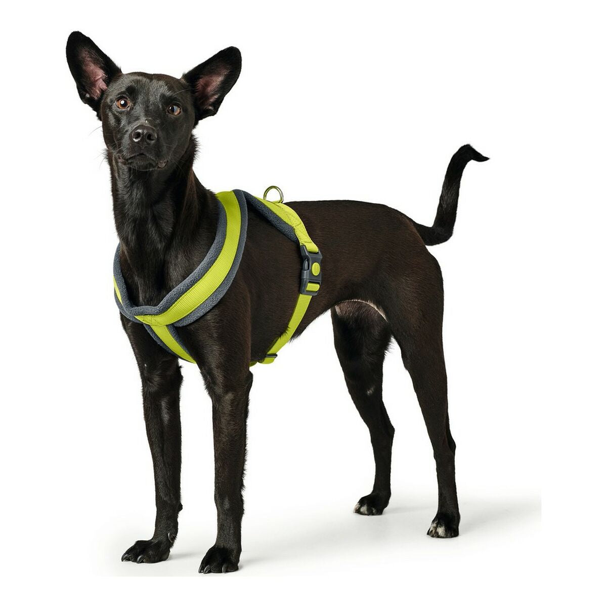 Imbracatura per Cani Hunter London Comfort XS-S 39-47 cm Lime