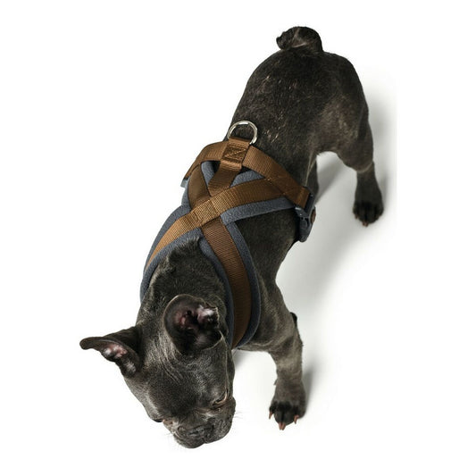 Imbracatura per Cani Hunter London Comfort XS-S 39-47 cm Marrone