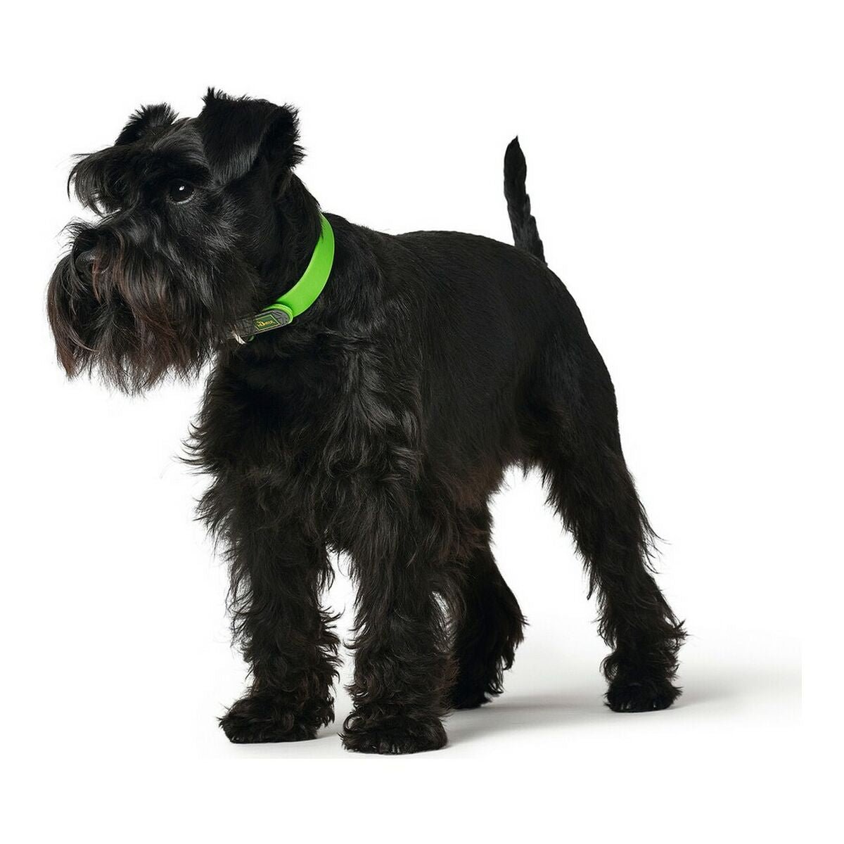 Collare per Cani Hunter Convenience Taglia M Verde (38-46 cm)