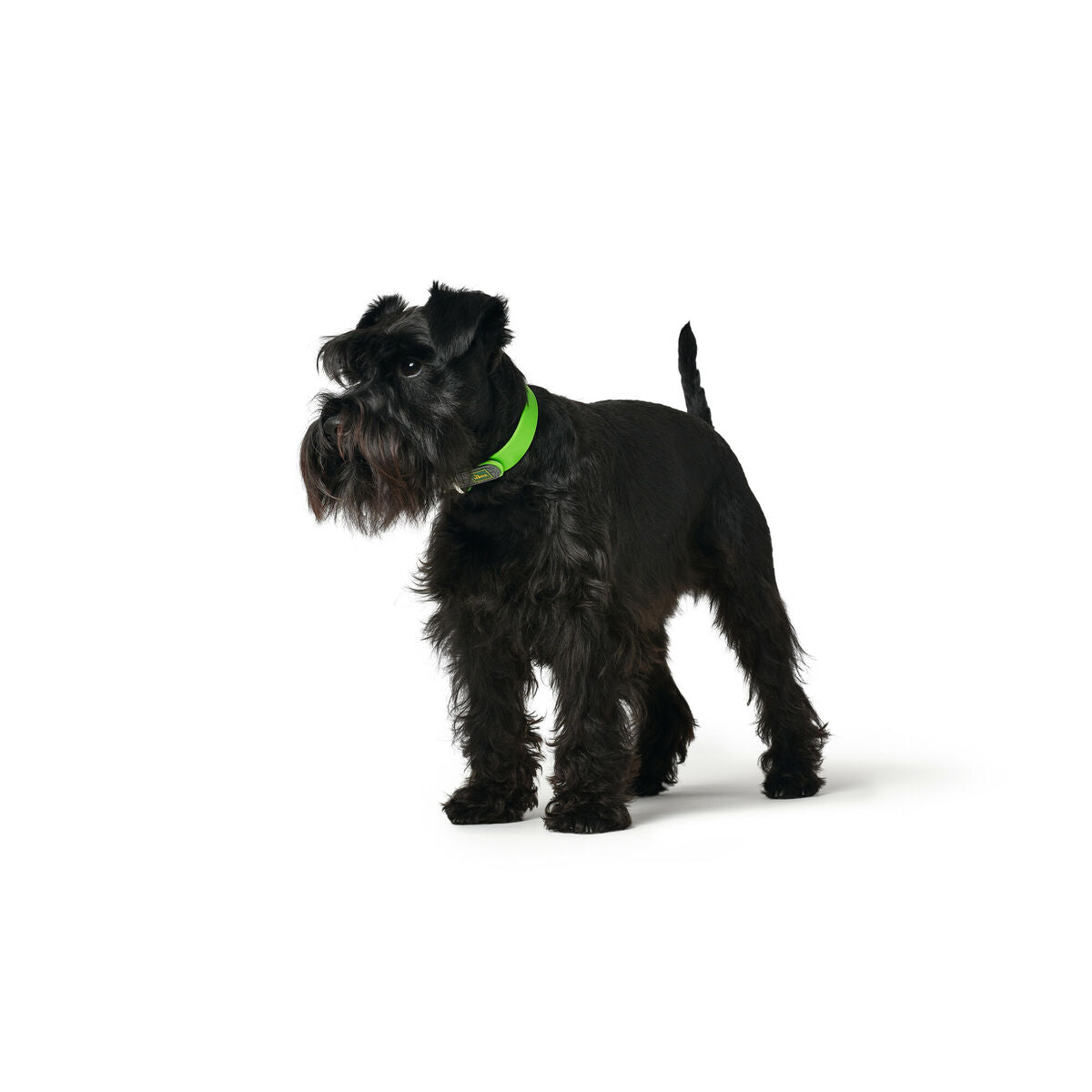 Collare per Cani Hunter Convenience 47-55 cm L Verde