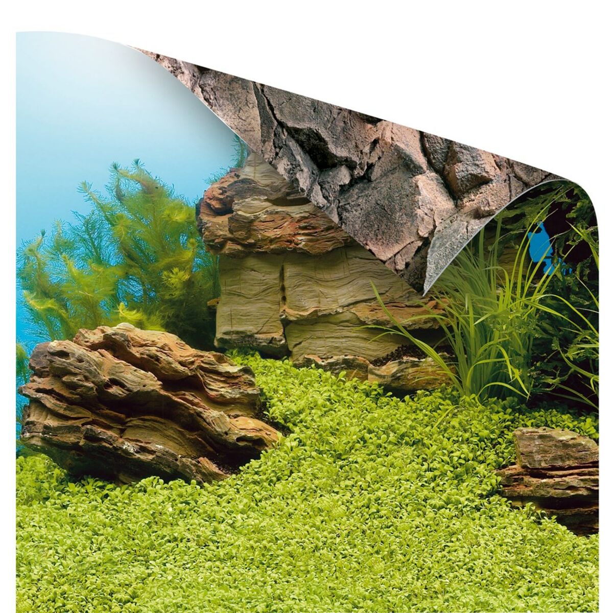 Poster Juwel 1 S Muro Acquario