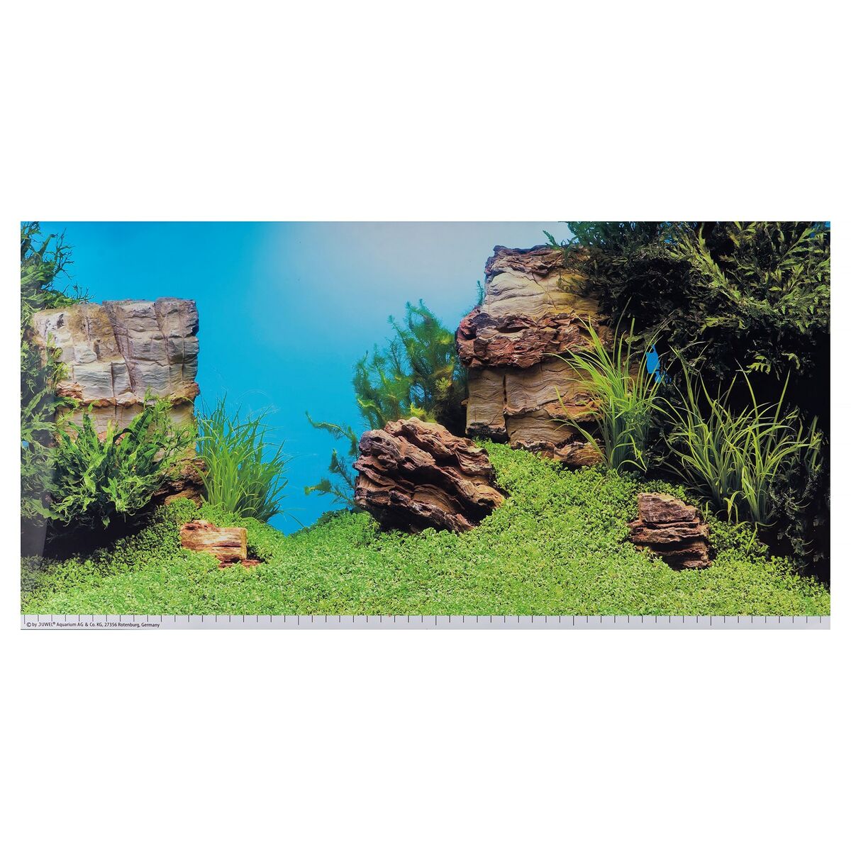 Poster Juwel 1 L Muro Acquario