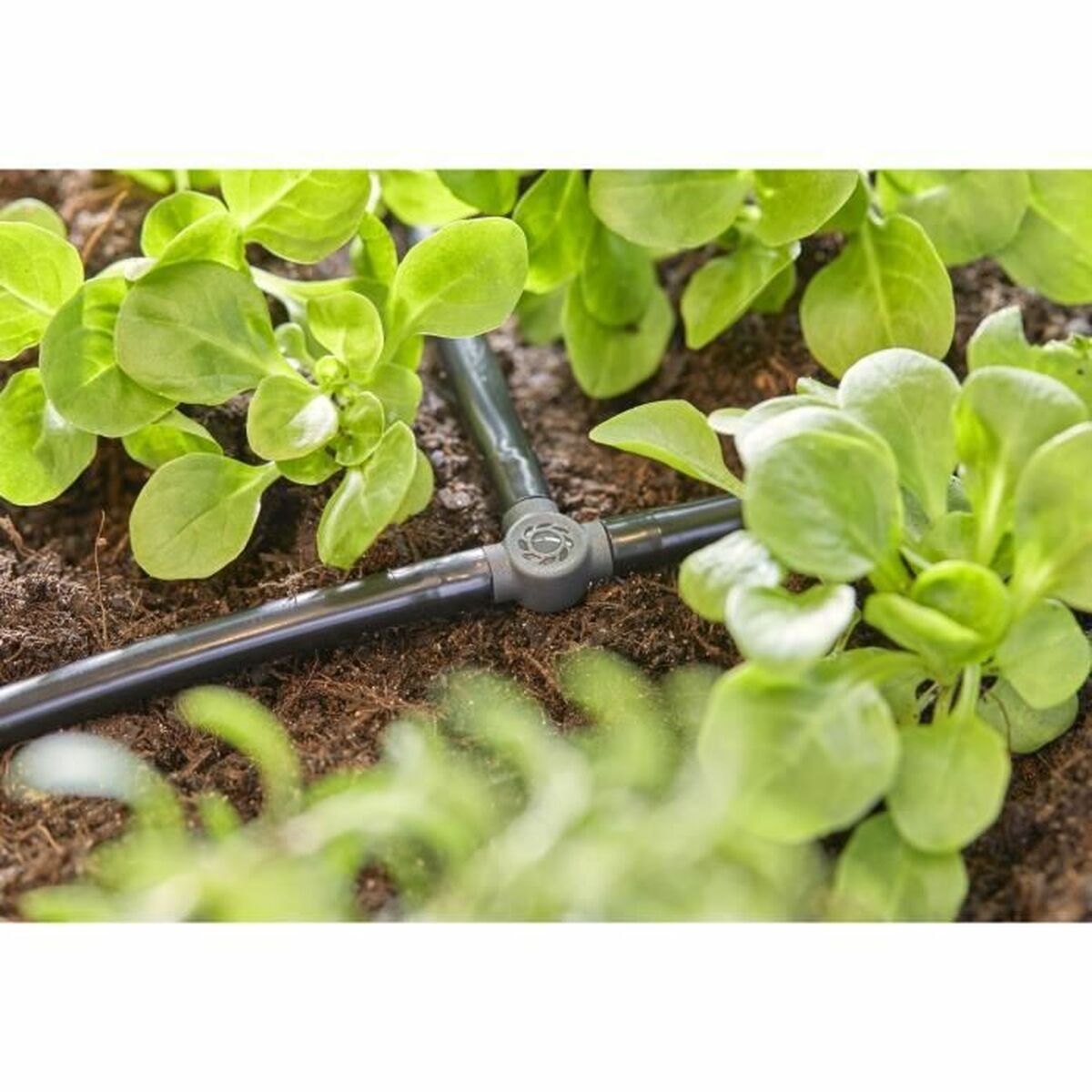 Connettore tubo Gardena Forma a T 3/16" 4,6 mm