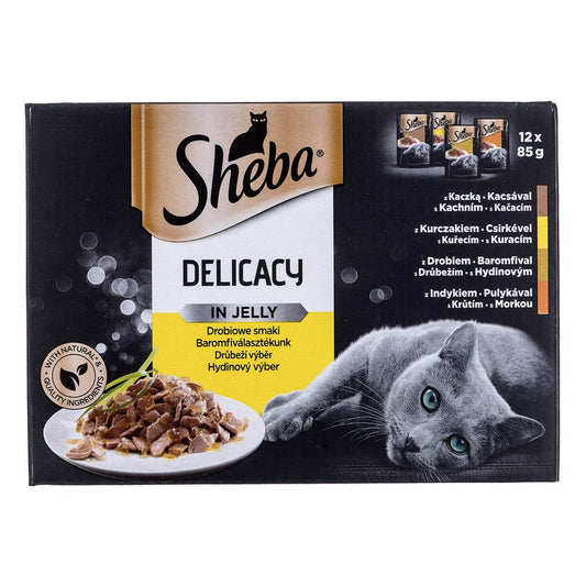 Cibo per gatti Sheba Delicacy in Jelly Pollo Tacchino Anatra Uccelli 100 g