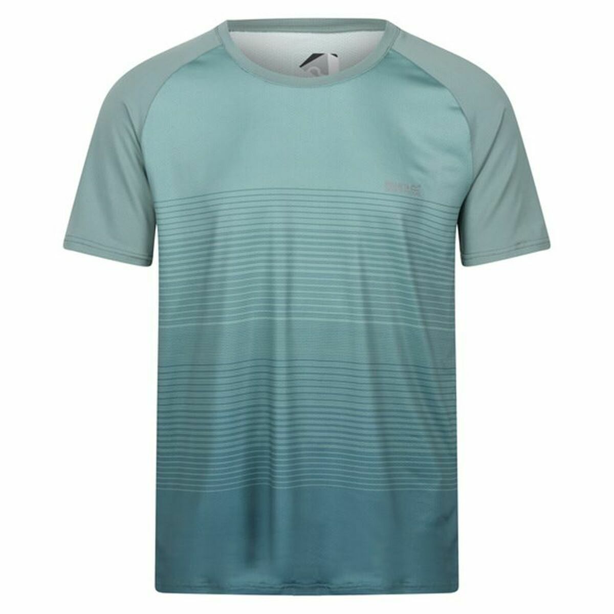 Maglia a Maniche Corte Uomo Regatta Pinmor Acquamarina