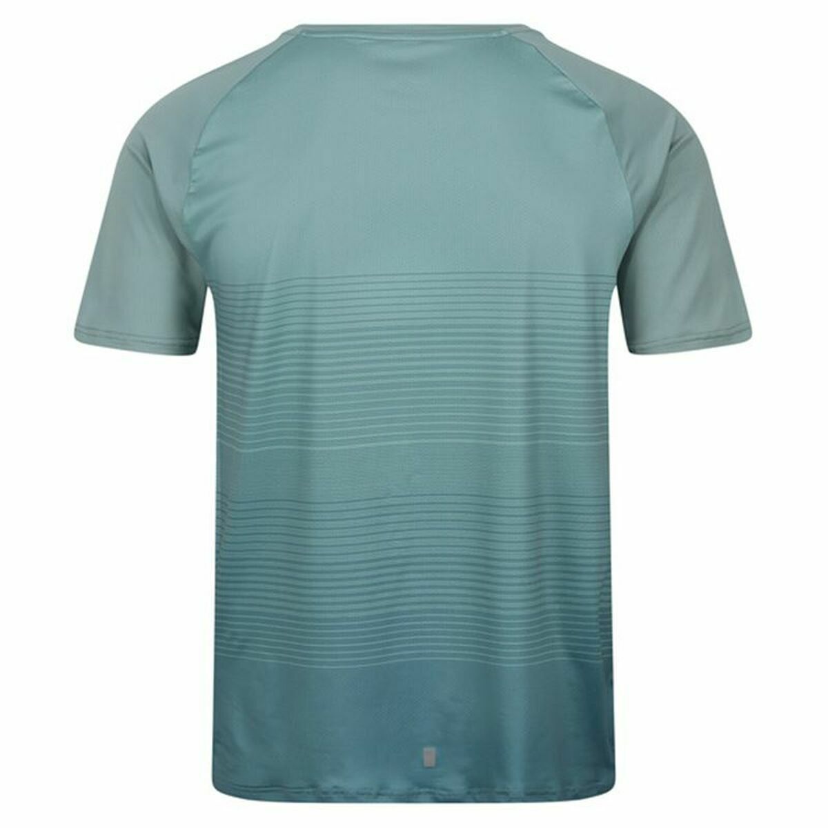 Maglia a Maniche Corte Uomo Regatta Pinmor Acquamarina