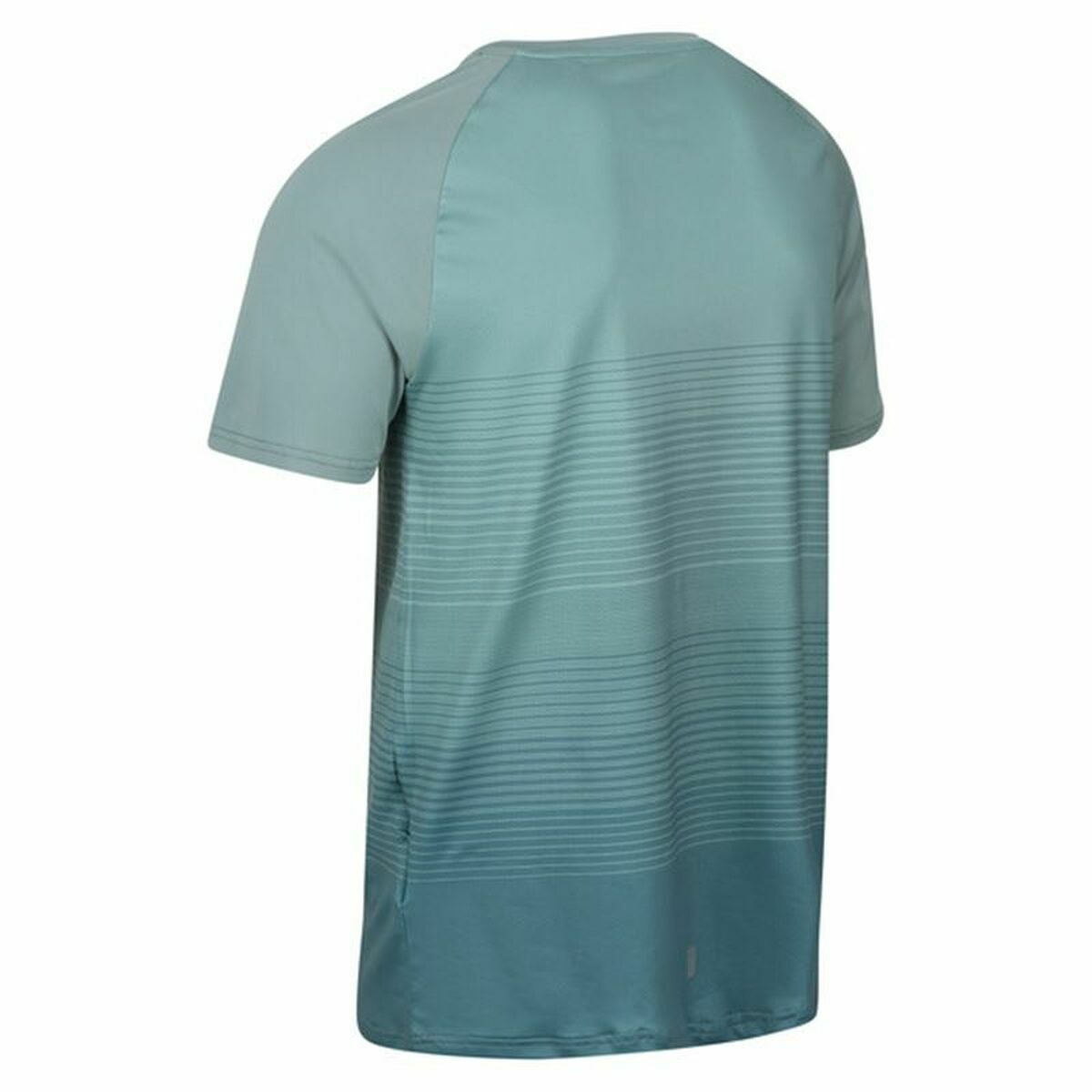 Maglia a Maniche Corte Uomo Regatta Pinmor Acquamarina