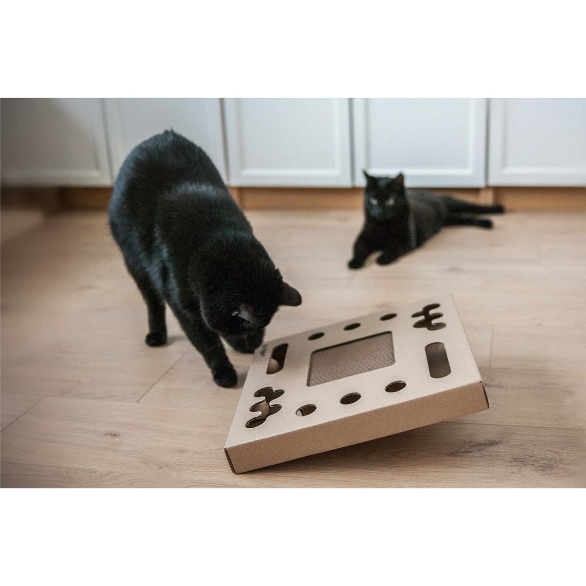 Tiragraffi per Gatti Carton+Pets Bronce Cartone 34,5 x 4 x 34,5 cm