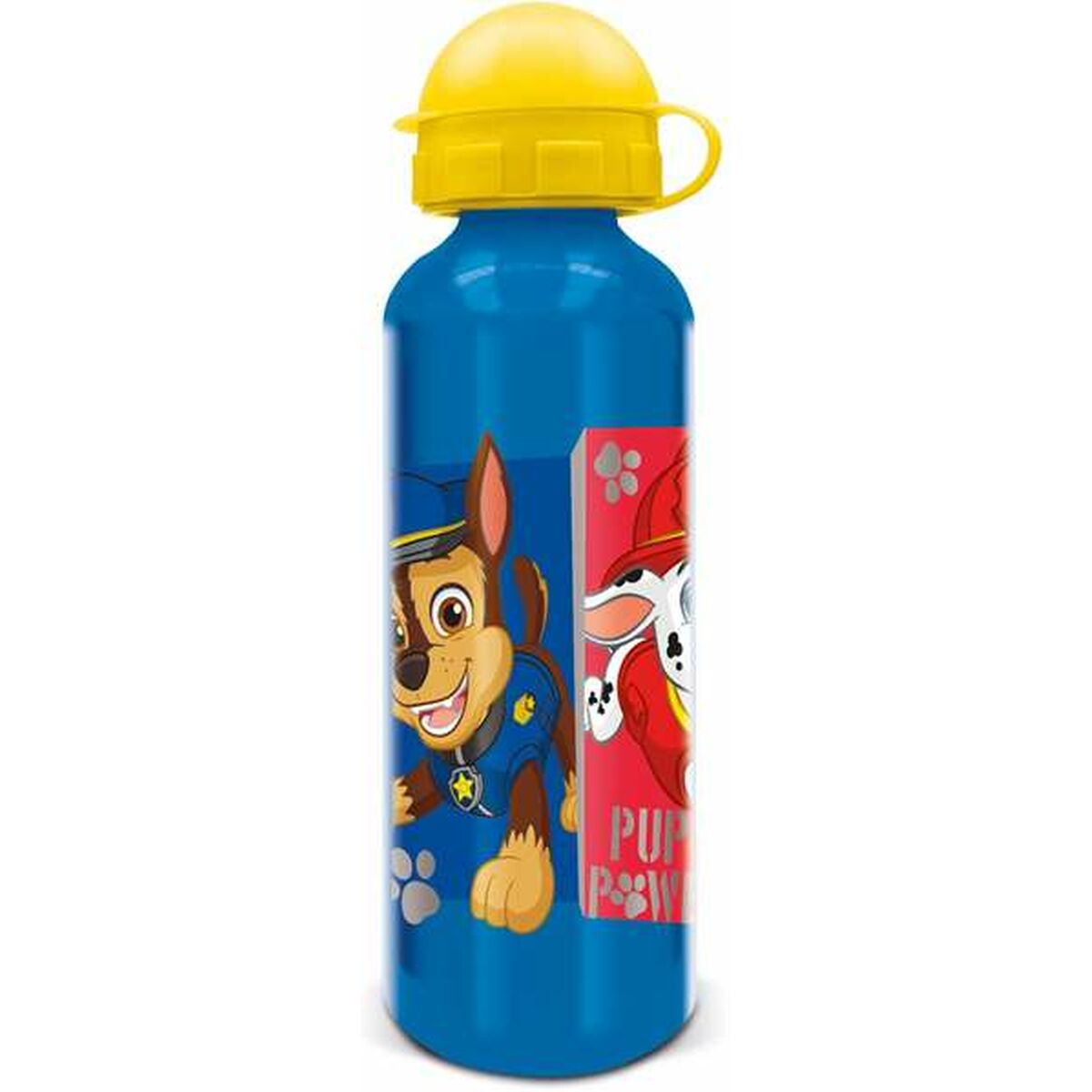 Bottiglia The Paw Patrol Pup Power 530 ml Alluminio