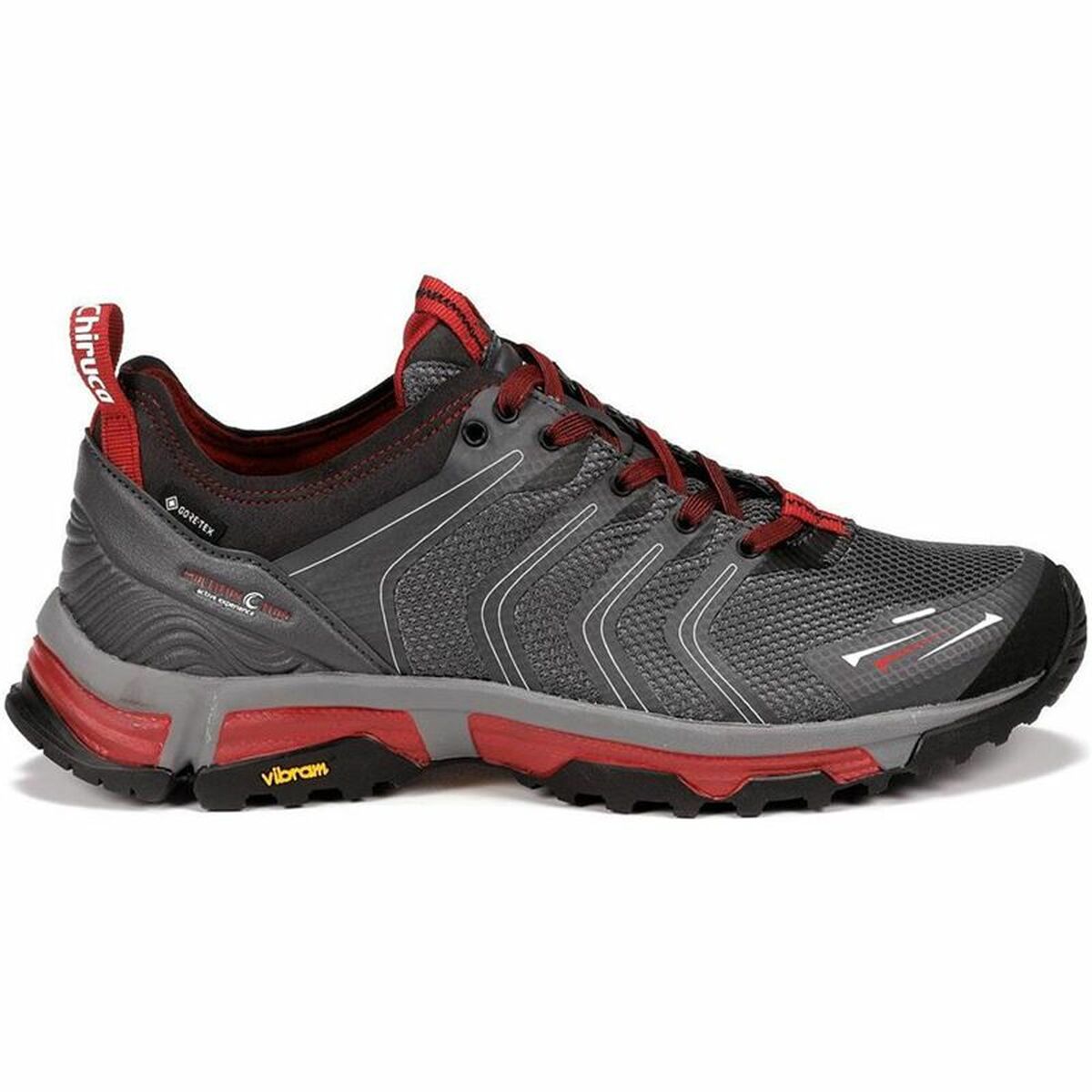 Scarpe Sportive Chiruca Bavaro 09 GORE-TEX Montagna Grigio scuro Uomo